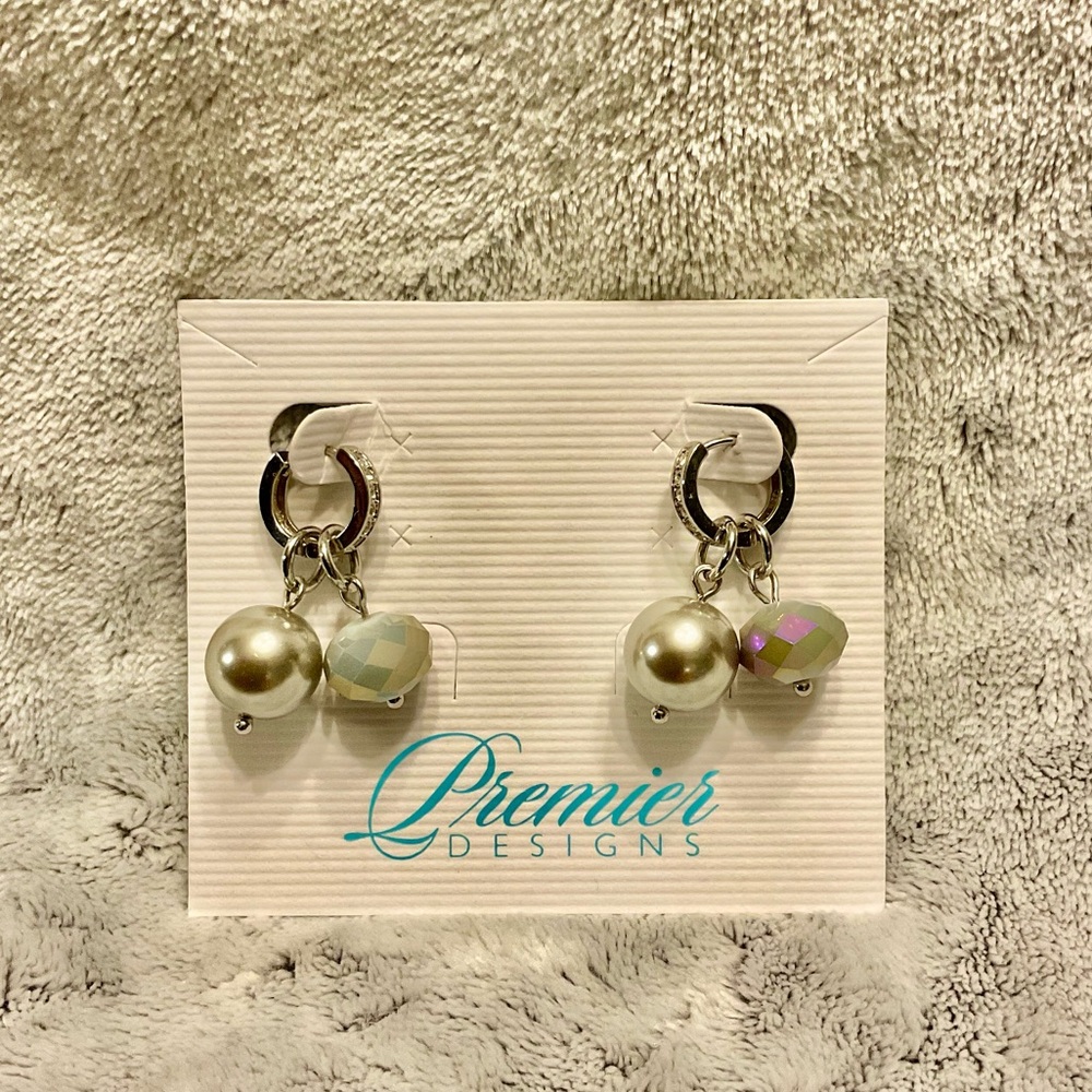 Premier Designs Gray and Silver Drop Earrings